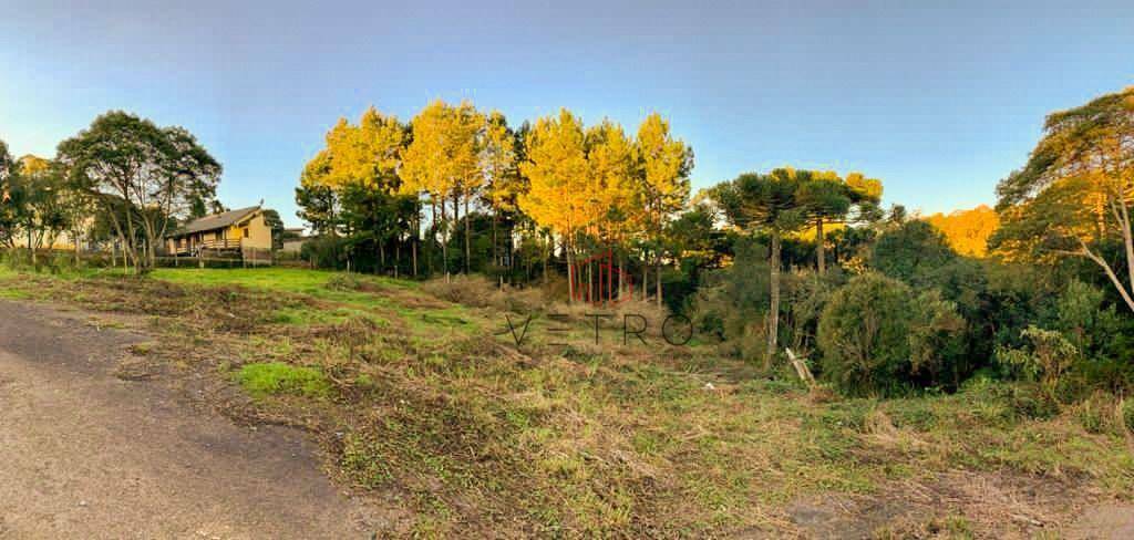 Terreno à venda, 840M2 - Foto 7