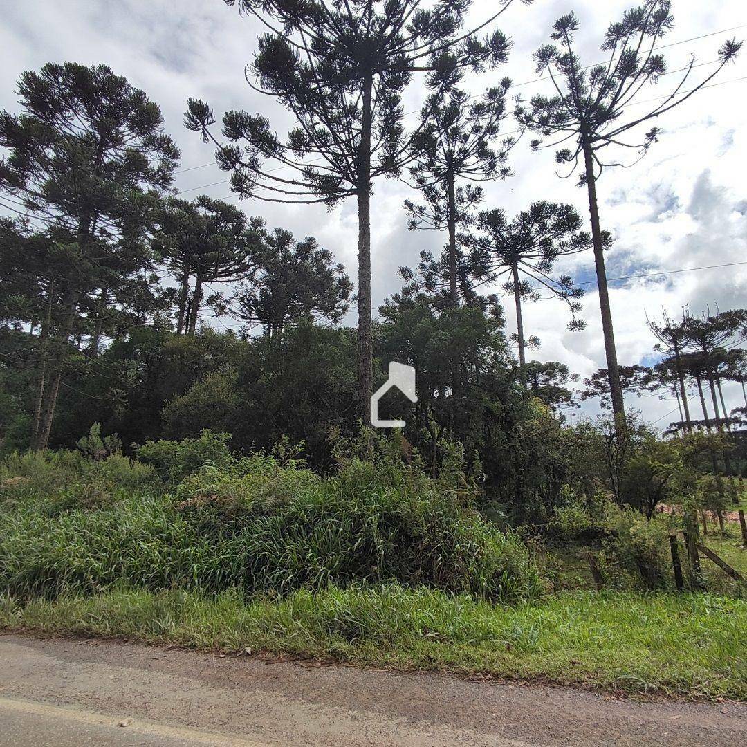 Terreno à venda, 36000M2 - Foto 6