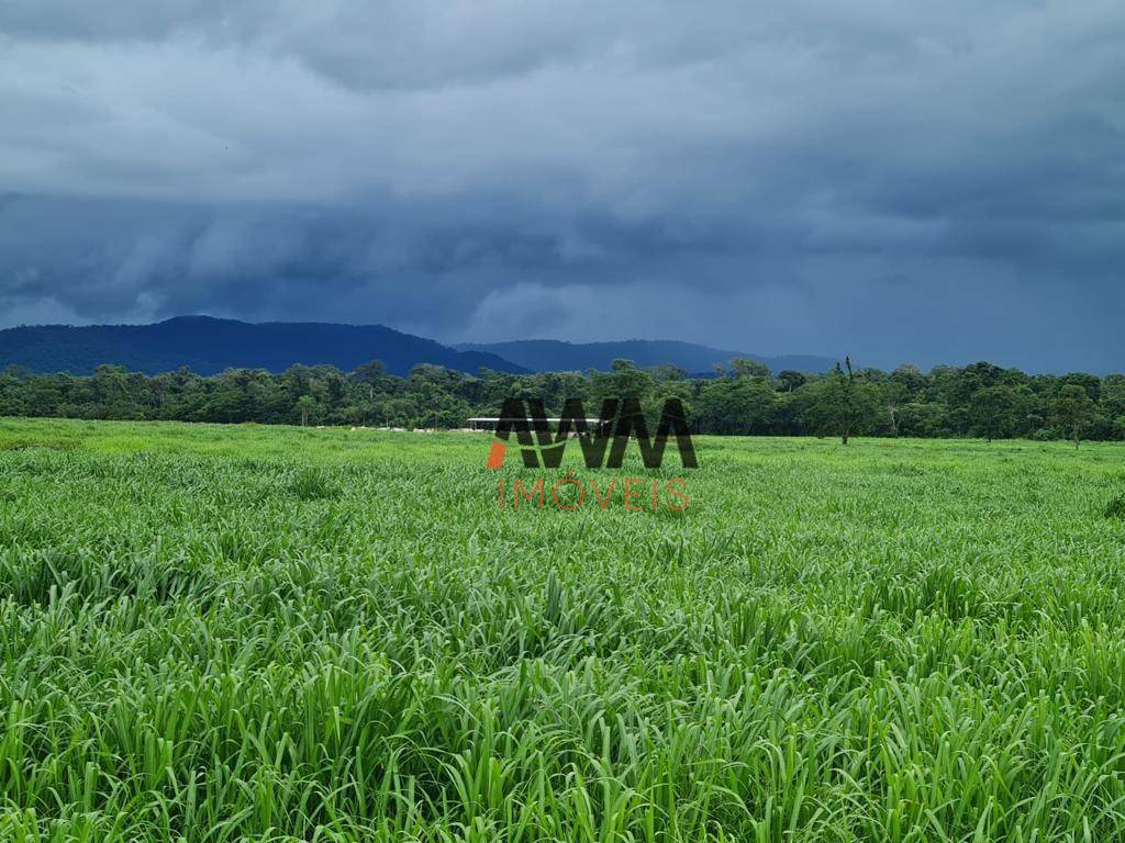 Fazenda à venda, 19360000M2 - Foto 2