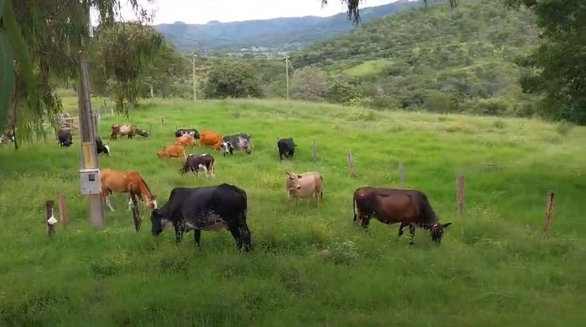 Fazenda à venda com 3 quartos - Foto 1