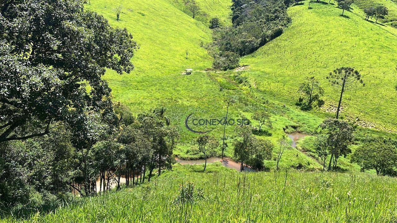 Fazenda à venda, 3388000M2 - Foto 5