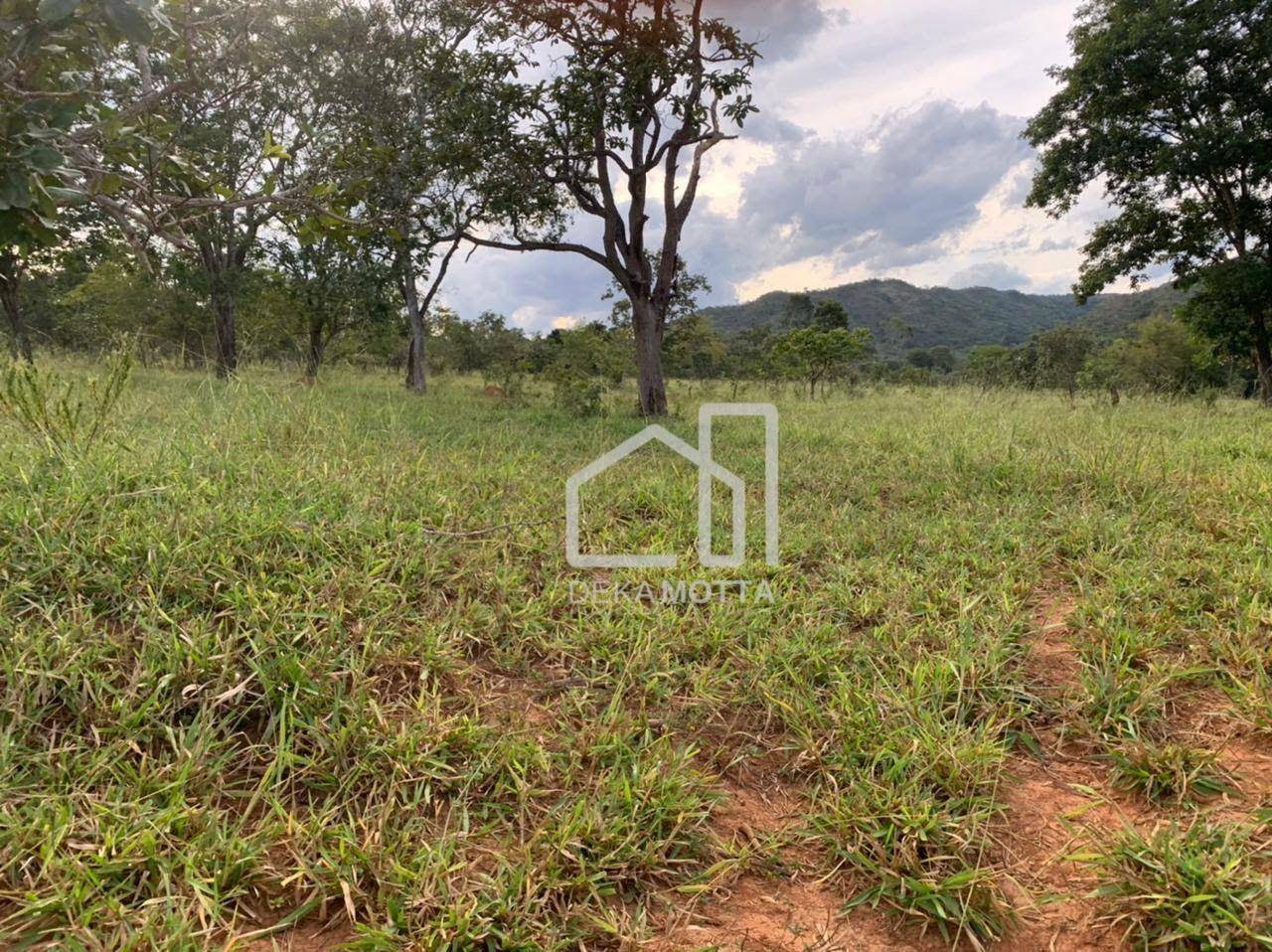 Fazenda à venda com 3 quartos, 21217700000M2 - Foto 4