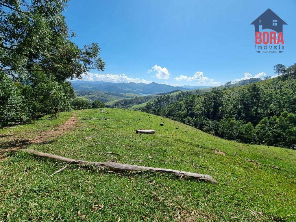 Fazenda à venda com 2 quartos, 1113200M2 - Foto 19