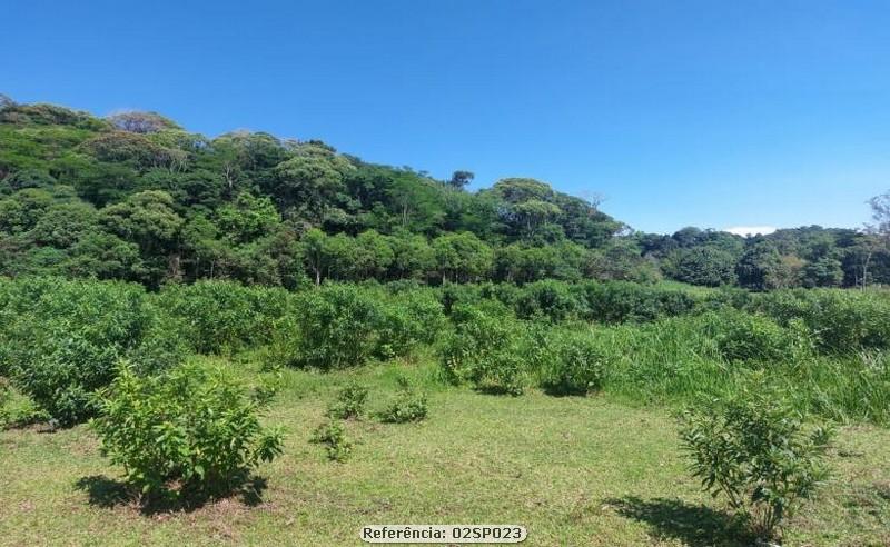 Fazenda à venda com 2 quartos, 110000m² - Foto 7