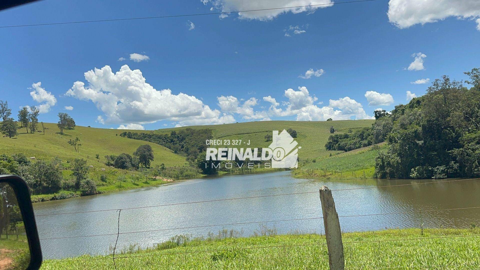 Fazenda à venda com 9 quartos, 5000m² - Foto 107