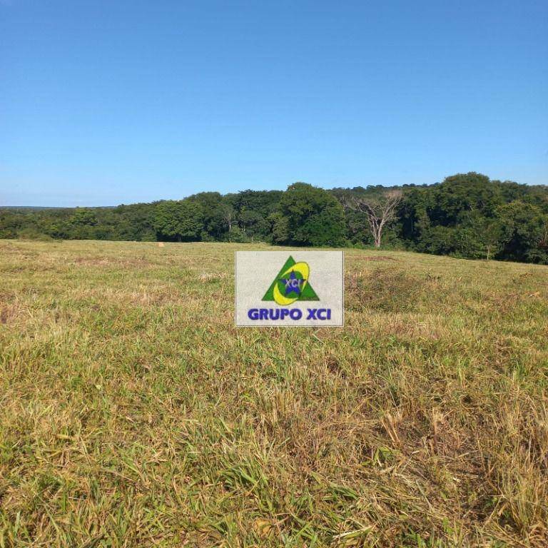 Fazenda à venda, 10000000M2 - Foto 12