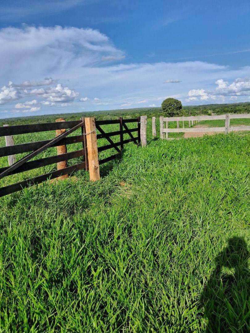 Fazenda-Sítio-Chácara, 997 hectares - Foto 4