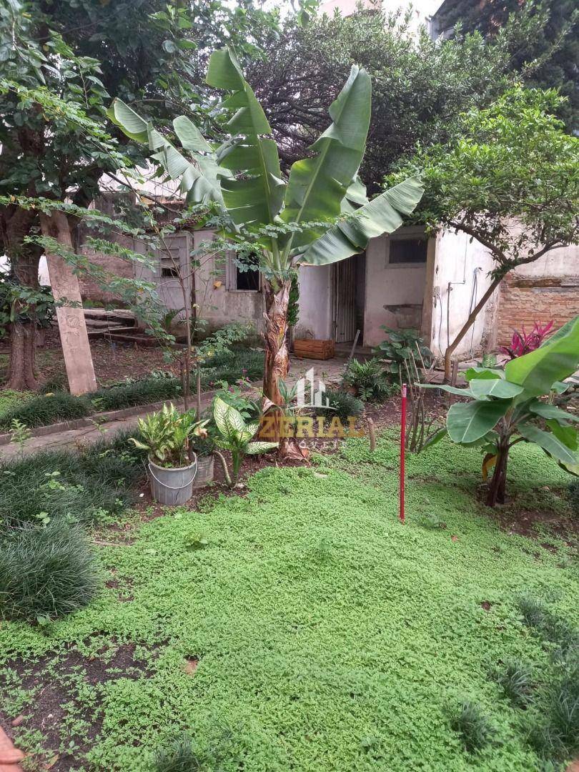 Casa à venda e aluguel com 3 quartos, 1000m² - Foto 8