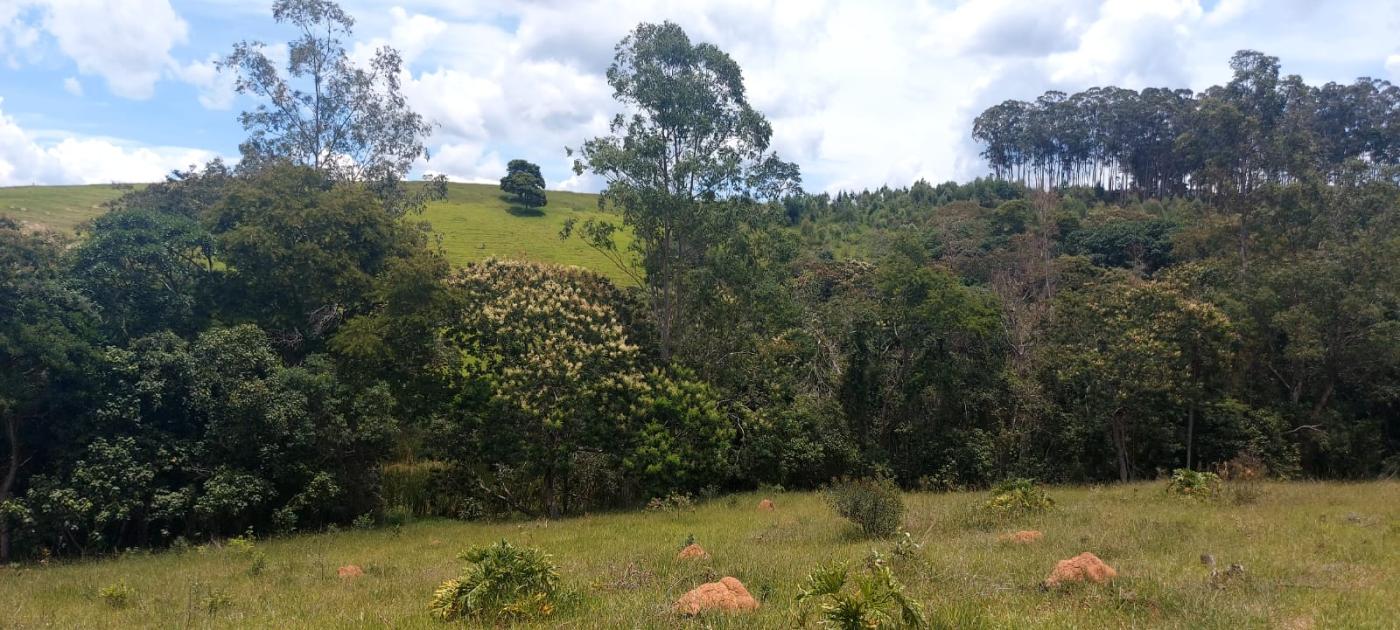 Loteamento e Condomínio à venda, 23m² - Foto 21