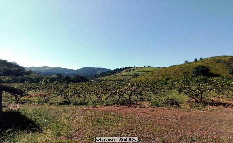 Fazenda à venda com 4 quartos, 120000m² - Foto 19