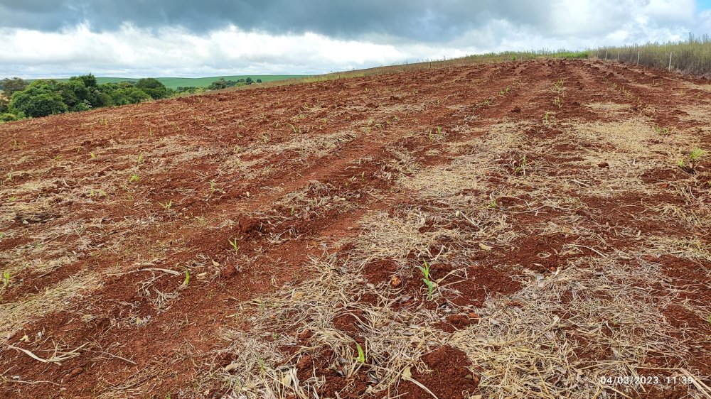 Fazenda à venda, 48400m² - Foto 9