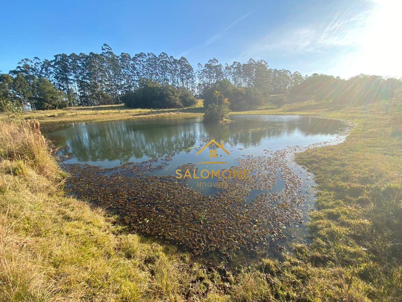 Sítio, 13 hectares - Foto 22