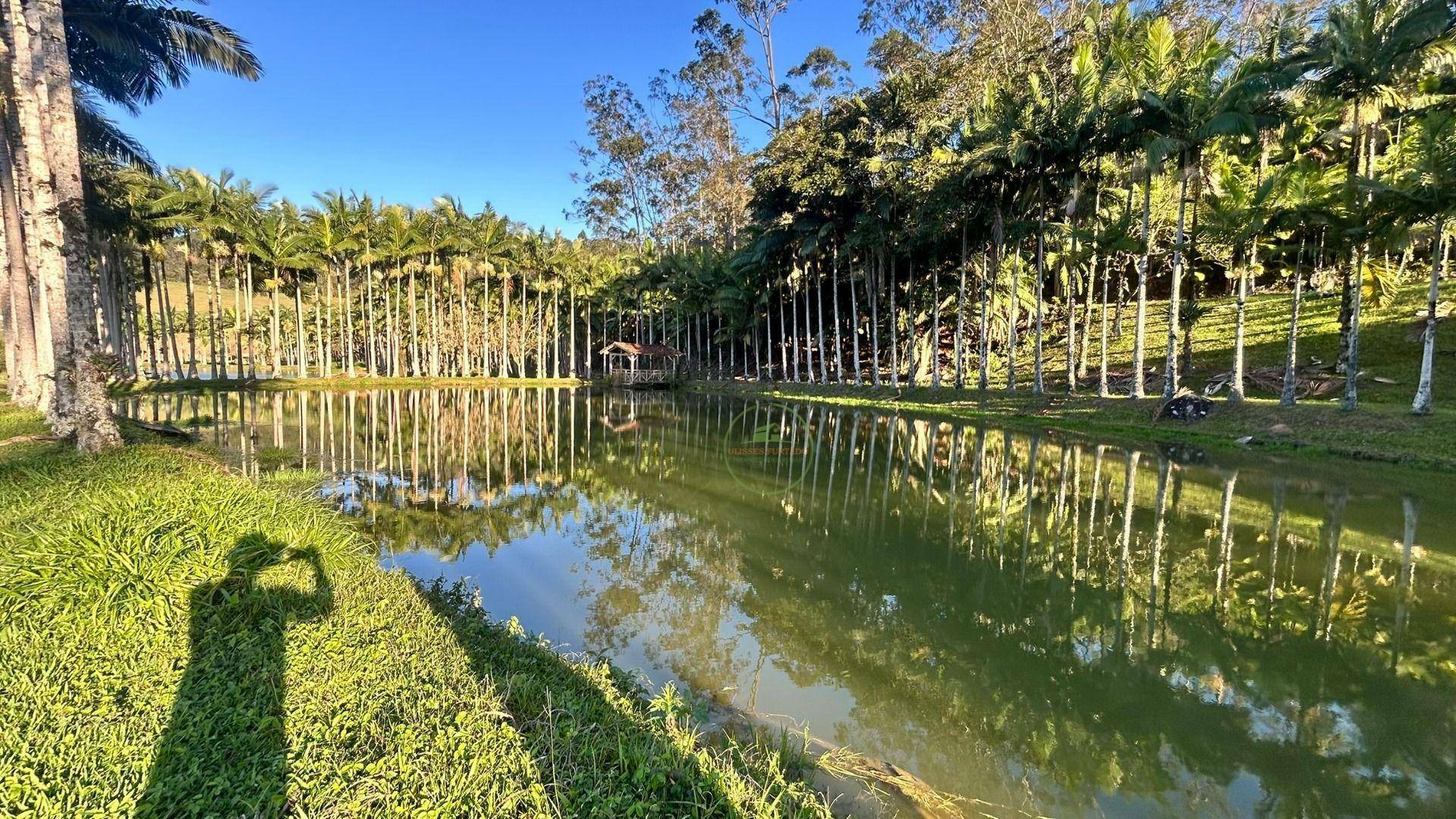 Sítio, 19 hectares - Foto 5