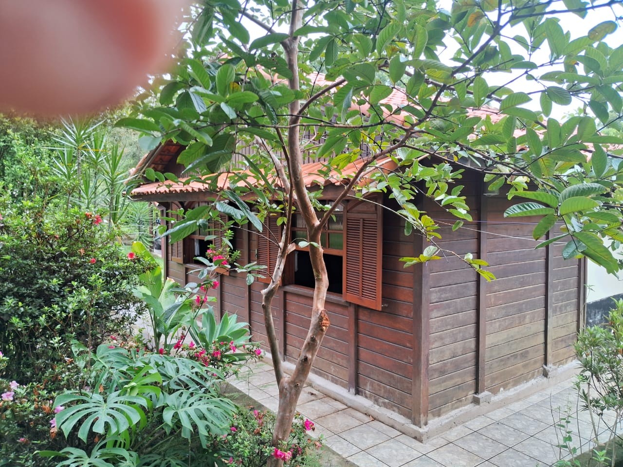 Chácara à venda com 4 quartos, 3500m² - Foto 14