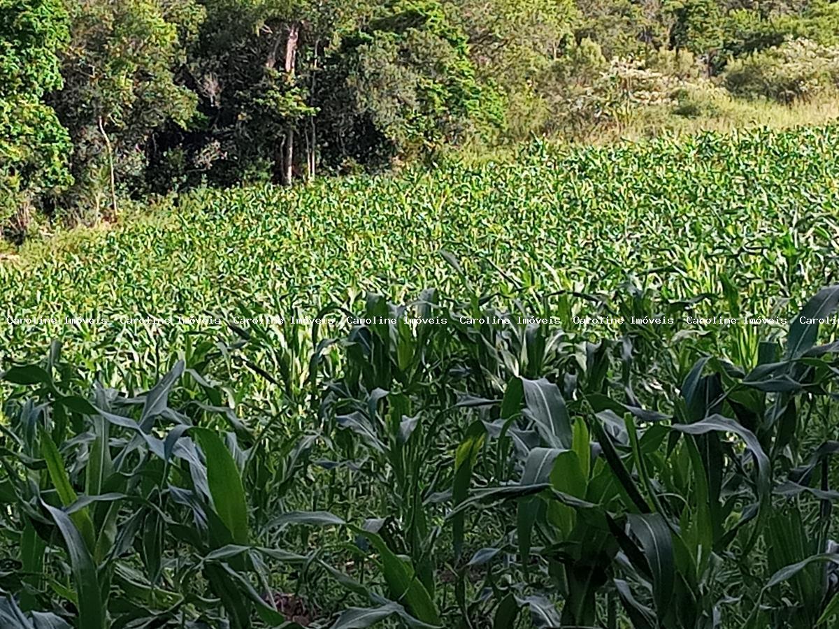 Fazenda à venda, 250000m² - Foto 30