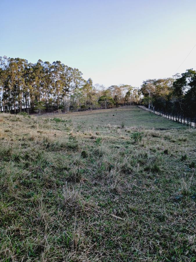 Fazenda à venda com 2 quartos, 146000m² - Foto 11