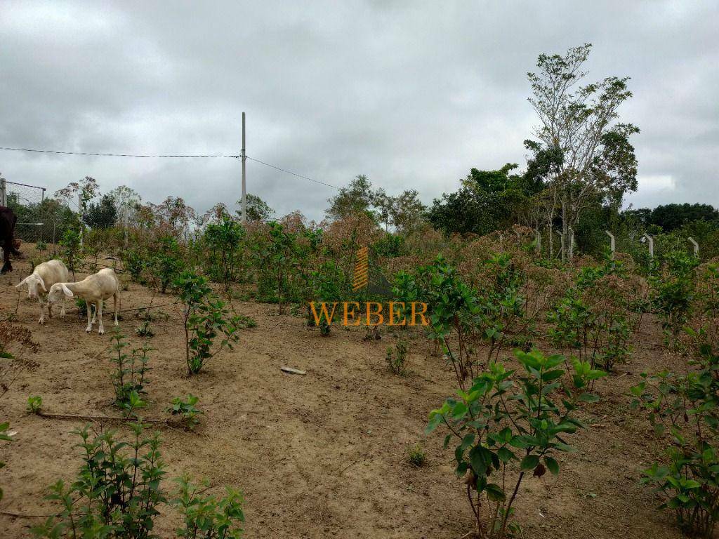 Terreno à venda, 2300m² - Foto 12