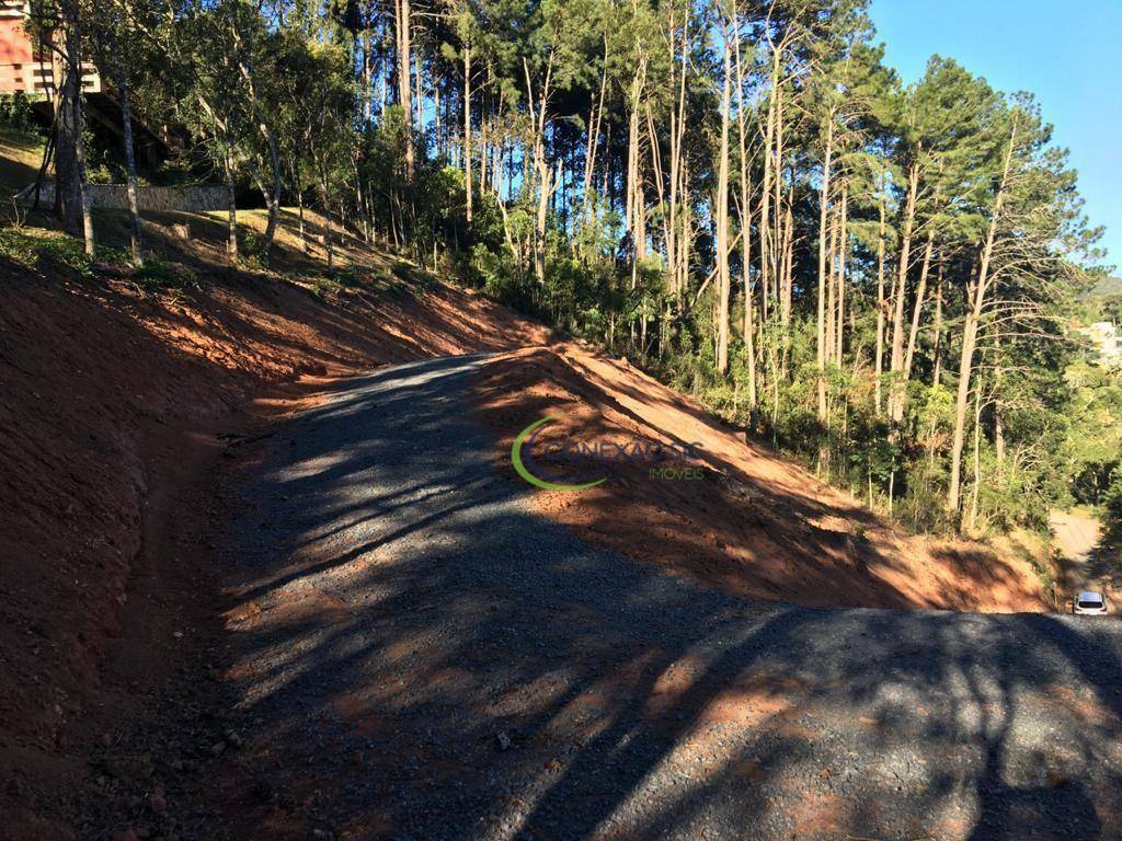 Loteamento e Condomínio à venda, 1767M2 - Foto 6