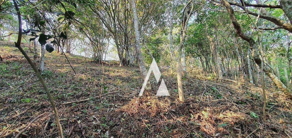 Terreno à venda, 1900M2 - Foto 3