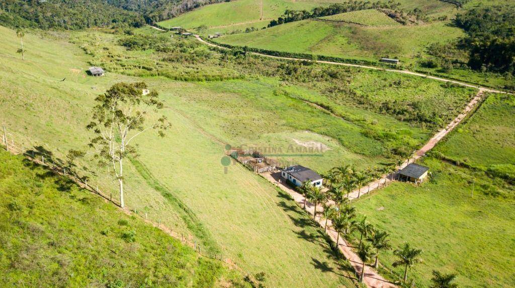 Fazenda à venda com 3 quartos, 120m² - Foto 41