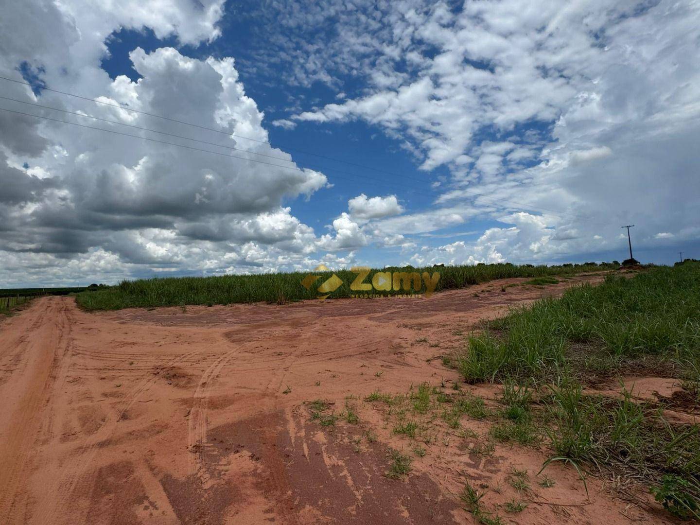 Sítio, 36 hectares - Foto 7