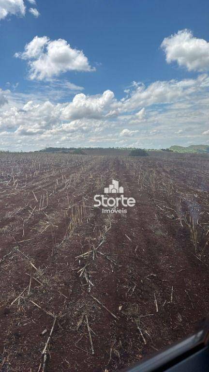 Fazenda à venda, 119420000M2 - Foto 9