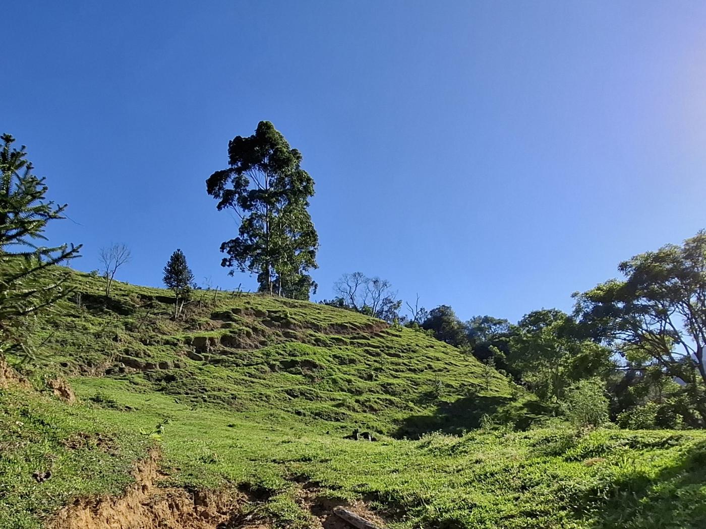 Fazenda à venda com 3 quartos, 90000m² - Foto 38