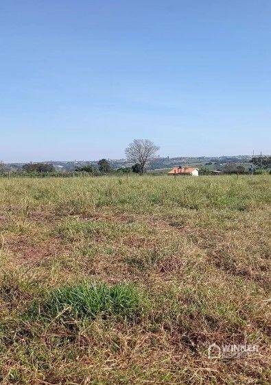 Chácara à venda com 1 quarto, 10000M2 - Foto 6