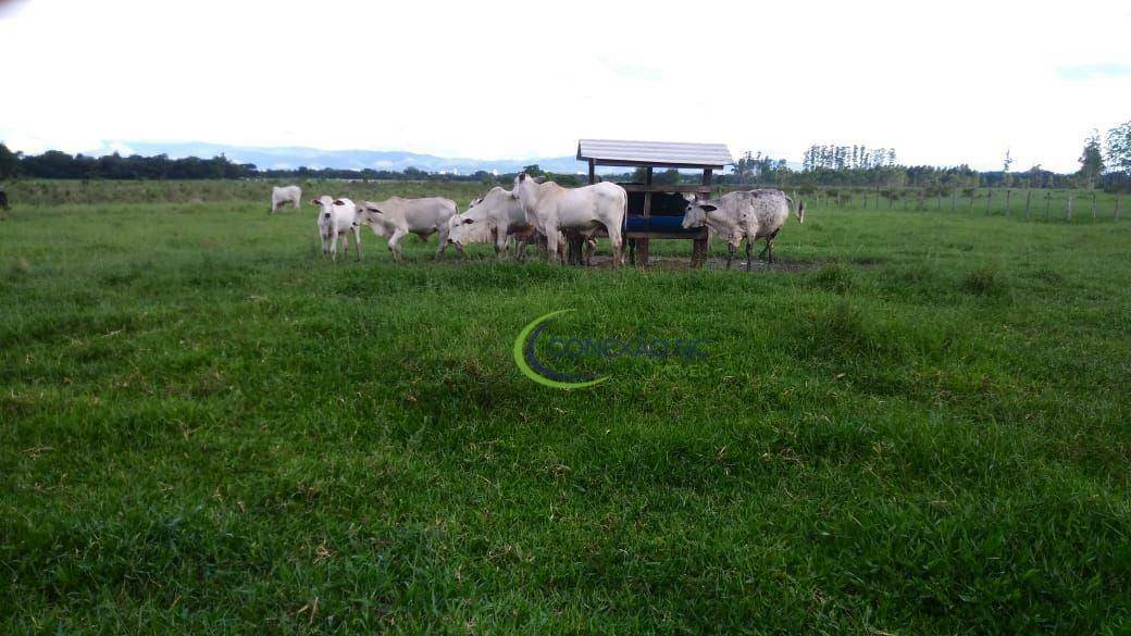 Fazenda à venda com 3 quartos, 2970000M2 - Foto 27