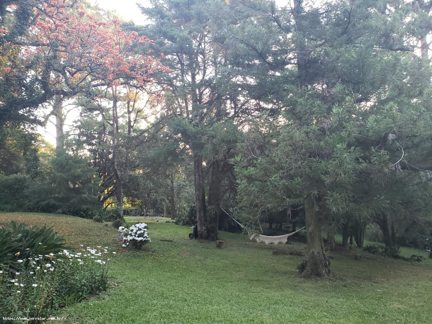 Fazenda à venda com 4 quartos, 15000m² - Foto 30