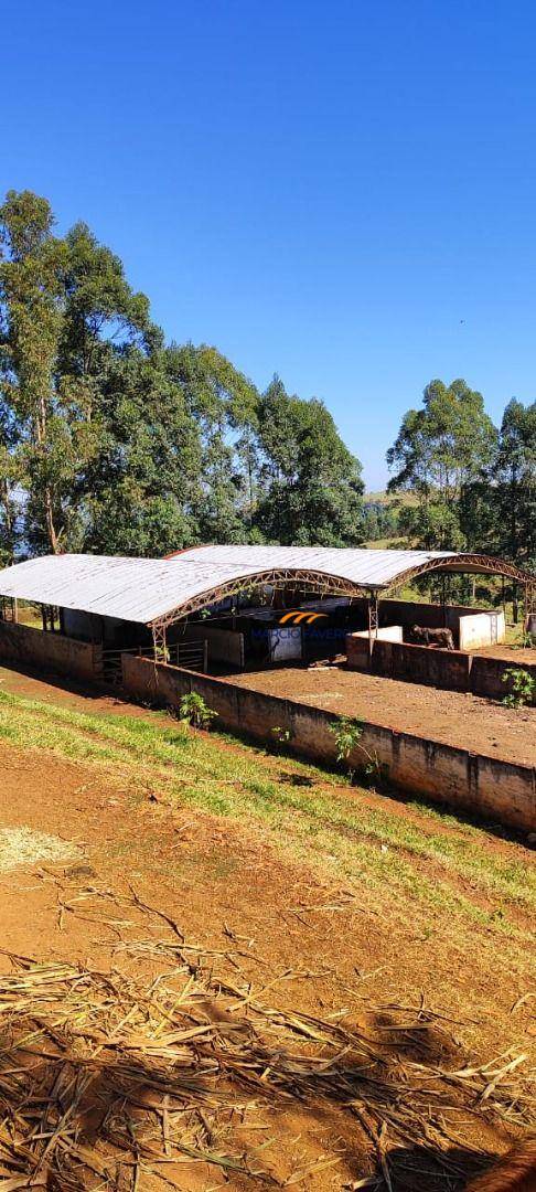 Fazenda, 289 hectares - Foto 2