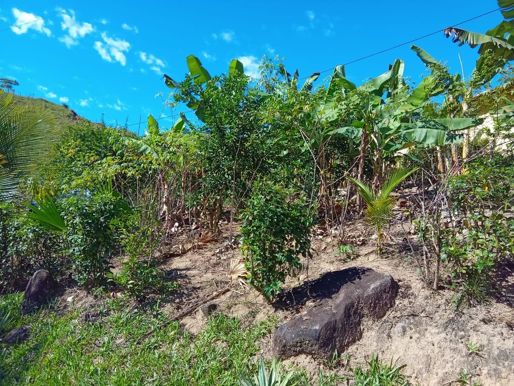 Fazenda à venda com 1 quarto, 1200m² - Foto 23