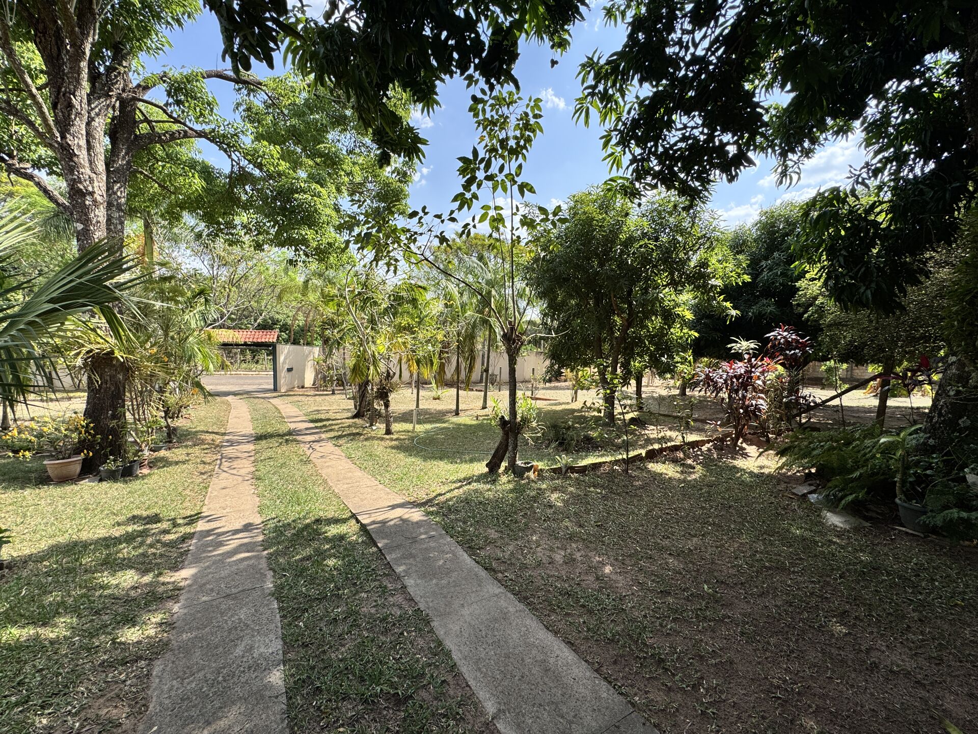 Fazenda à venda com 5 quartos, 3700m² - Foto 18