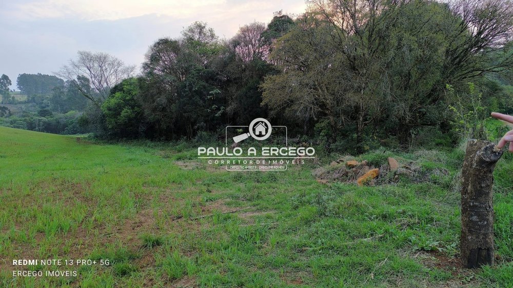 Sítio, 6 hectares - Foto 10