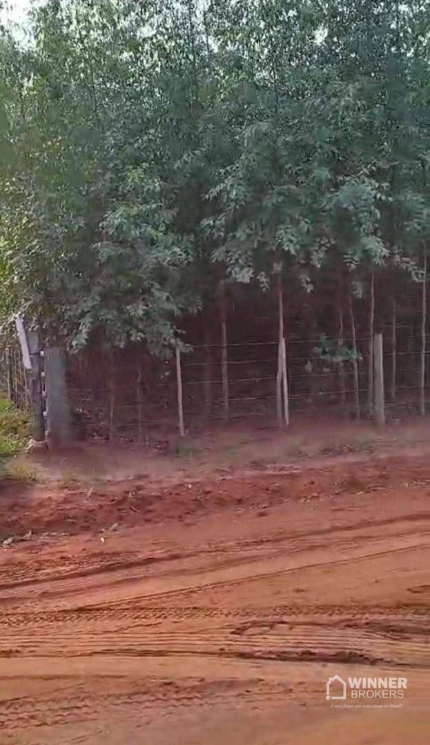 Chácara à venda com 4 quartos, 210m² - Foto 22