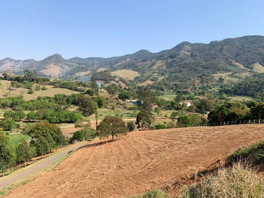 Fazenda à venda com 4 quartos, 45m² - Foto 34