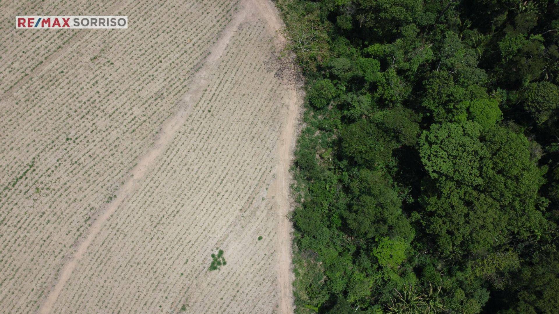 Fazenda à venda, 750000M2 - Foto 5