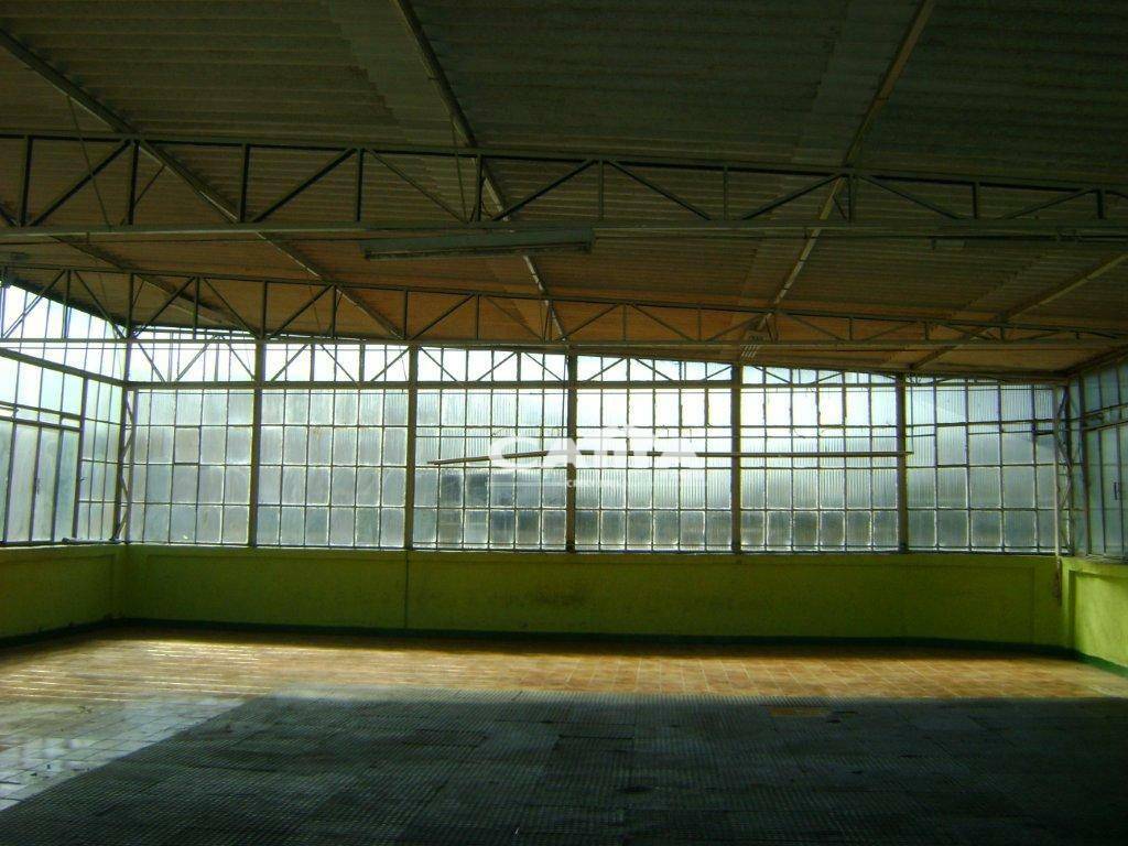 Loja-Salão para alugar, 300m² - Foto 4