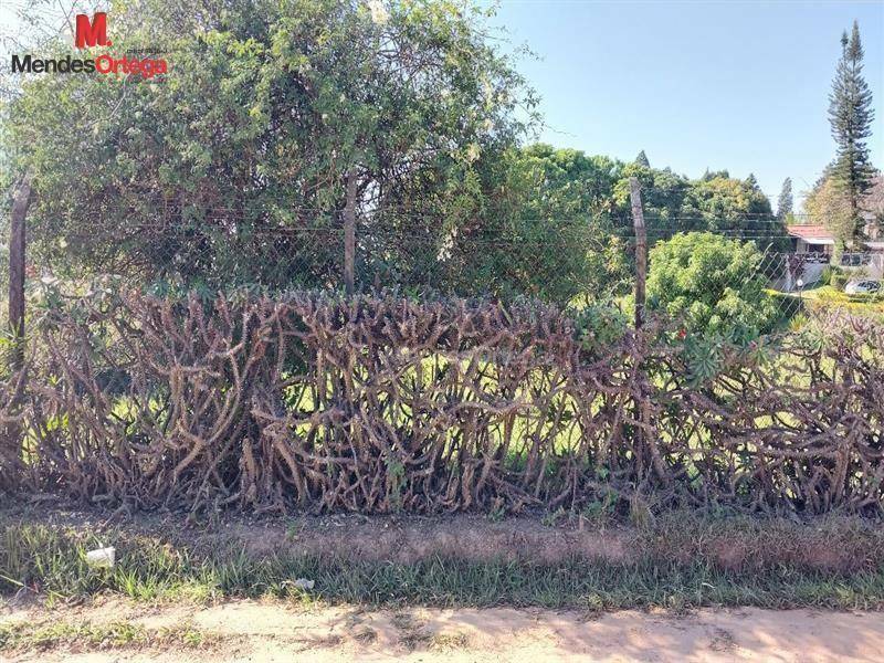 Terreno à venda, 2500M2 - Foto 6