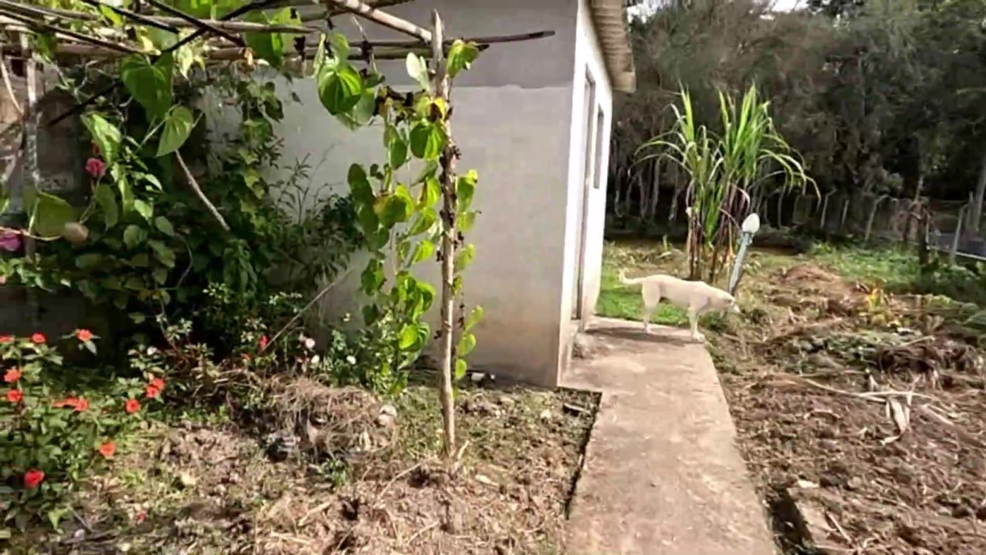 Chácara à venda com 3 quartos, 1500m² - Foto 37