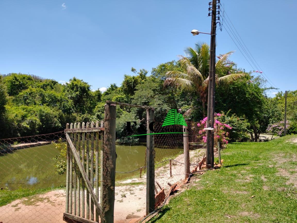 Fazenda à venda com 3 quartos, 24200m² - Foto 6