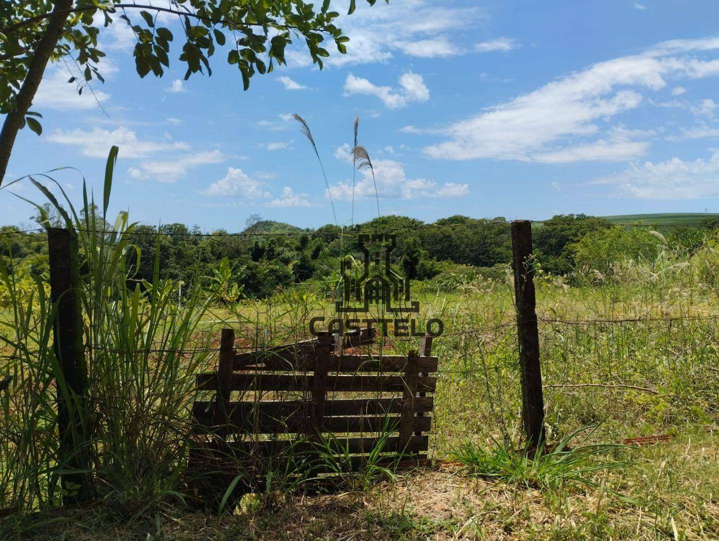 Chácara à venda com 3 quartos, 16720M2 - Foto 3