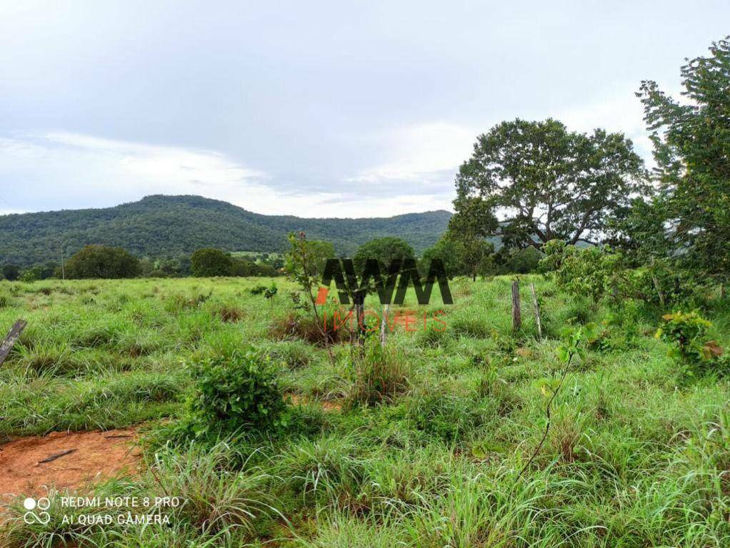 Fazenda à venda, 8760400M2 - Foto 12