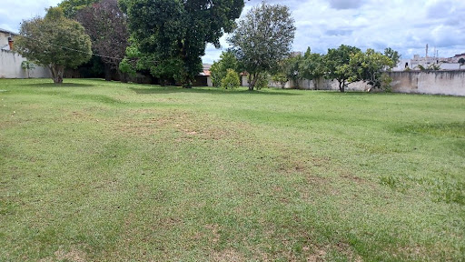 Terreno à venda, 3000M2 - Foto 1