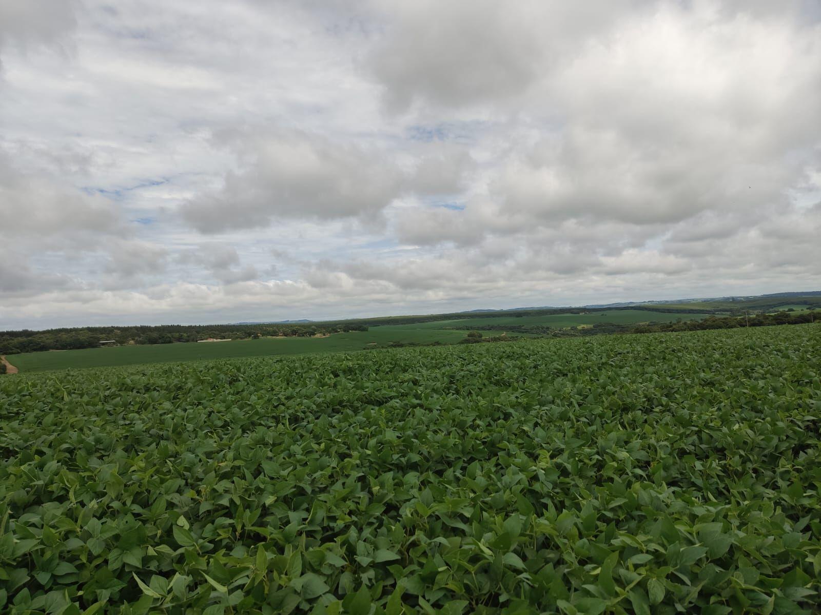 Fazenda à venda com 2 quartos, 3509000m² - Foto 1