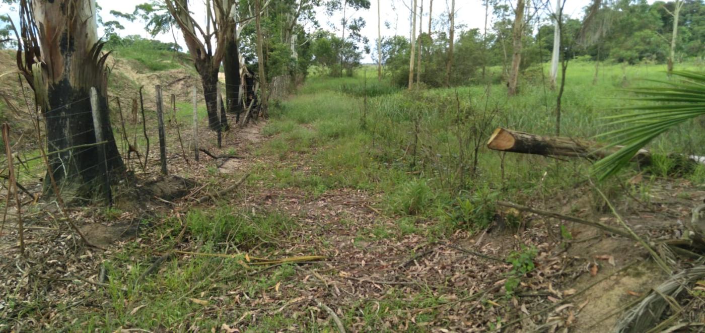 Fazenda à venda, 25000m² - Foto 14