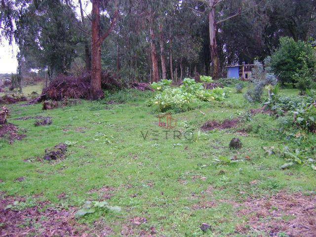 Terreno à venda, 1700M2 - Foto 7