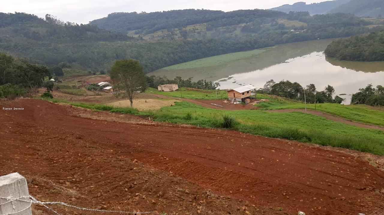 Fazenda à venda com 2 quartos, 1000m² - Foto 3