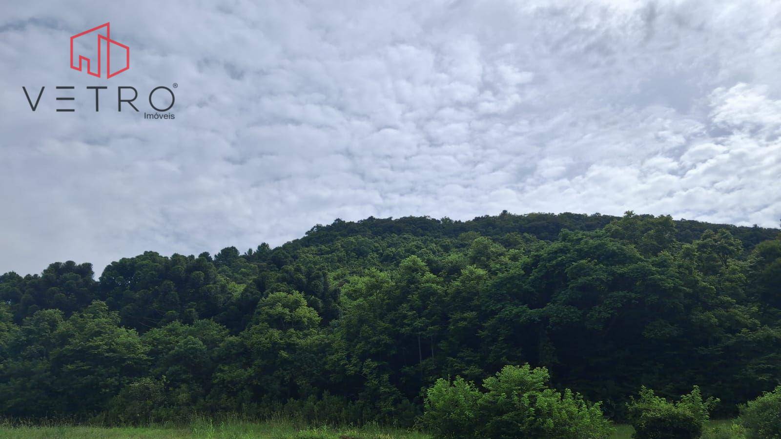 Sítio, 7 hectares - Foto 1