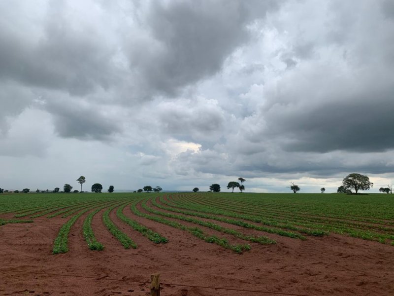 Fazenda à venda, 1007m² - Foto 19